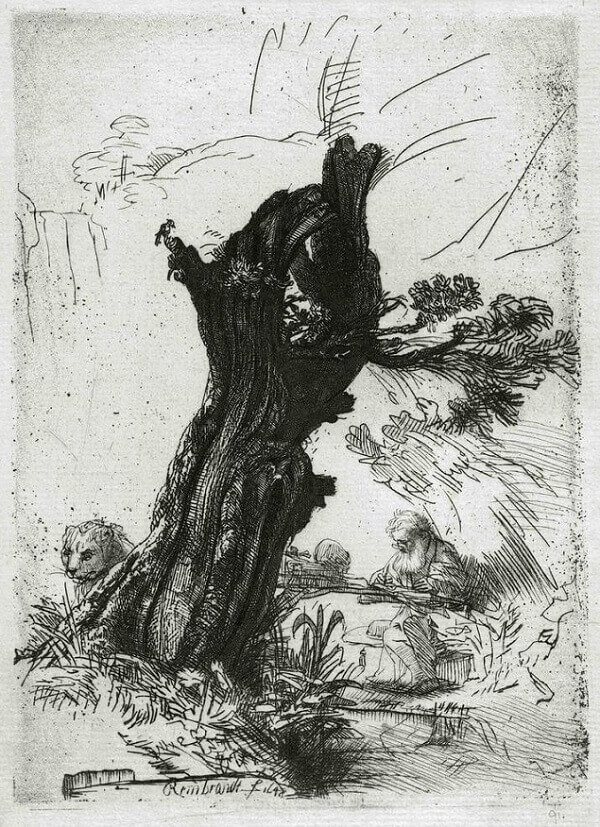 St Jerome beside a Pollard Willow, 1648 by Rembrandt