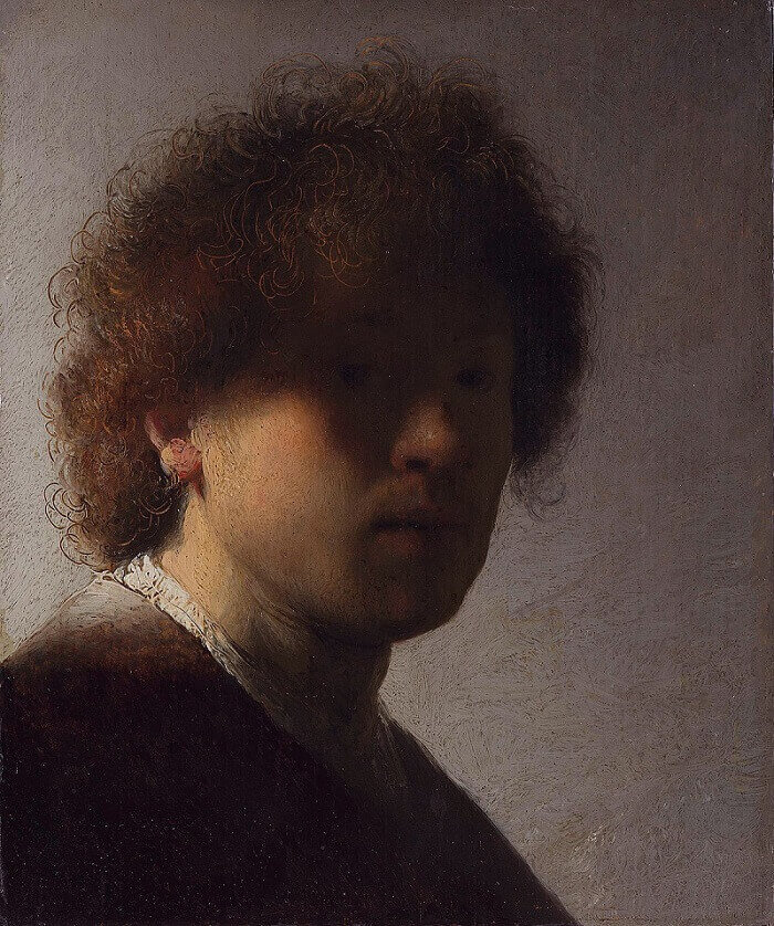 Self-Portrait with Dishevelled Hair, 1628 by Rembrandt