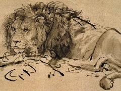 Lion by Rembrandt